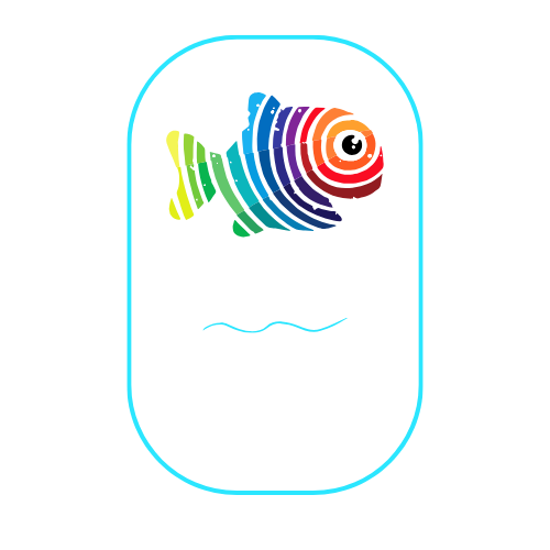 Gold Coast   Whale Watching Adventure Tours